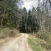 Der Aufstieg zum Lochfelsen beginnt