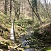 Hier entspringt der Wulfbach