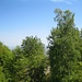 Leider sind die Bäume in der Umgebung nicht so niedlich und niedrig wie der Turm, weshalb man in Richtung Rheintal fast nichts sieht.