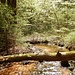 Wunderbare Natur!