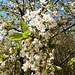 Frühling!