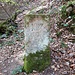 Königreich Bayern (KW-königl. Wald)