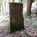 Kurpfalz (CPE-Kurpfalz, Elmstein)