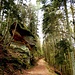 Die Felsen von Alt-Erfenstein.