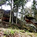 Die Felsen von Alt-Erfenstein.