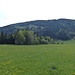 Auf der Anfahrt zum P. "Gerstland". Die Almfläche Riedelwiese ist links unterhalb der Schwaiger-Alm schon zu erkennen.
