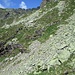 Dopo aver superato il Lago di Cornalta, il sentiero (a volte poco individuabile ma sempre ben segnalato da bolli di vernice bianco-rossa) attraversa pietraie e  ripide praterie alpine, in un ambiente veramente selvaggio, prima di giungere alla Baita di Varro.