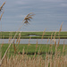 Cape Cod