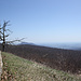 Shenandoah NP