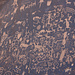 Newspaper Rock