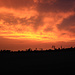 Sunset over the swamps