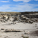 Bisti