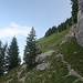 Der Weiterweg Richtung Mythenmatt (Wiese im Hintergrund). Sieht problemlos aus.