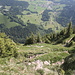 Blick vom alten Weg durch die Totenplangg Richtung Brunni. Damit kann dem stark frequentierten Mythenweg ausgewichen werden.