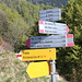 <b>A 65 m di distanza il sentiero arriva al confine di stato. Il cosiddetto sentiero delle guardie svolta a sinistra e risale il pendio ai margini del bosco fino a 1405 m di quota, nei pressi dell’Alpe Piana.</b>