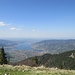 Oben am Setzberg mit seinem traumhaften Panorama. Blick hinab zum sozialen Wohnungsbau unten am See.