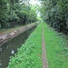 Eccomi ormai verso la fine del Canale Villoresi dove la pista ciclabile è come quella di un tempo, costituita da una traccia in terra battuta leggermente incassata lungo la riva, senza protezioni. Qui ho dovuto pedalare piano, perché la pioggia della notte aveva reso molto scivoloso il fondo e si rischiava di sbandare se la ruota andava sull’erba.