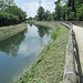 Lungo il Canale Villoresi sulla via del ritorno che, con il riaffermarsi del sole, mi ha fatto patire un po’ di caldo… 