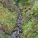 Wasserzufluss zum Rotbach