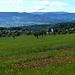 Oberfeld bei der Blauenweide