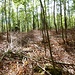Knochentrockener Flur 