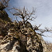Unterwegs am Monte Nodu 'e Littipori - Umgeben von schönem Fels.