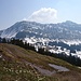Frühlingserwachen