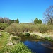 Im Talgrund des Saarbachs angelangt, zweigt ein markiertes Weglein links hinab zum Bach.