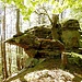 Nun geht's weiter auf dem schmalen, unmarkierten Pfad an der Felswand, der bald auf den Rücken des Hinzenbergs hinaufführt. Dort verliert er sich in der Nähe der nächsten Felsen, die links umgangen werden.