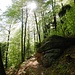 Auf dem Rumbergsteig.