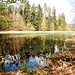 Auf dem Blau-Weißen Weg geht es nun talwärts, bis zu einem Fischteich. Hier wenden wir uns vom markierten Weg wieder ab, nach rechts (Norden), dem Ufer des Teichs folgend.