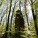 ...zu einer markanten Felssäule: dem Windsteinerfels, der ziemlich genau auf der Grenze steht. 