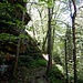 ...und steigen den schmalen Serpentinenpfad rechts hinauf zum Großen Felsen.
