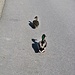 Sie freuen sich über die Ruhe.