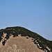Ziegelspitz
