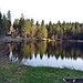 Pflegersee mit Badeanstalt.