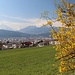 Blick nach Innsbruck
