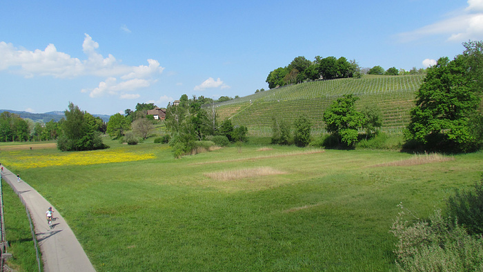 Blick zur Halbinsel Au. - Fotos [hikr.org]