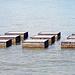 Kunst im See.