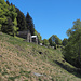 Alp Mürisc