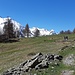 Alpe Blaunca 
