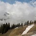 Bald legt sich das Gelände zurück, sodass ich zügig den Wanderweg erreiche (ca. 120 Höhenmeter unterhalb).