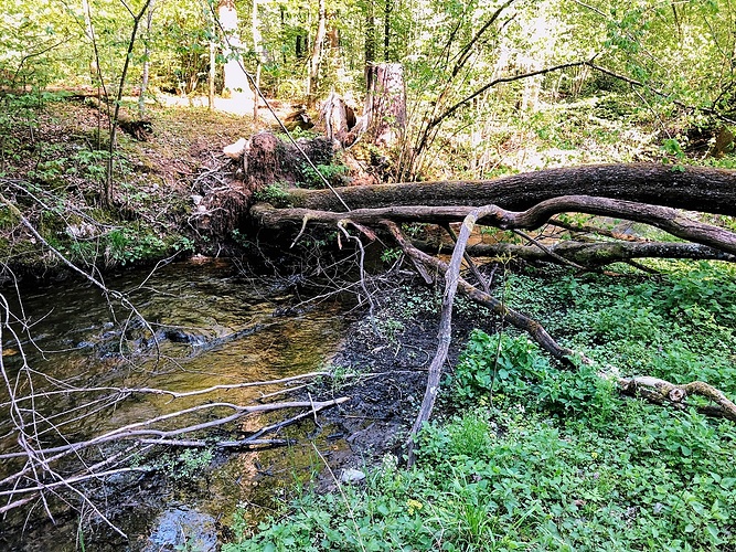 Klettern I mit Fahrrad über den Baum Fotos