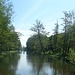 Würmkanal - kommt aus dem Nymphemburger Park
