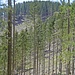 Der Blick hinüber zum Görgeleck offenbart gewaltige Schäden am Bergwald.