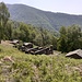 Cà del Sass 990 mt. Resti di baite che testimoniano la civiltà contadina della Val Veddasca di un tempo. Muri in pietra e tetti in piode. Il tutto circondato da rigogliose foreste di latifoglie e vegetazione che avanzano ricoprendo i prato-pascolo, un tempo utilizzati e destinati al bestiame.