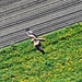 Segelflieger