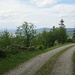 Nachdem ich vom eigentlich geplanten Weg zum Rockertfelsen abgekommen war, und auch den Bereich des von mir mitgeführten ausgedruckten Kartenausschnitts verlassen hatte, konnte ich mich an dieser Stelle mit Aussicht wieder orientieren. Gleich werde ich den Lochfelsen und den Lautenfelsen erreichen.