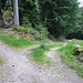 Hier zweige ich nach rechts auf einen nicht beschilderten Weg ab, der hinunter nach Obertsrot führt.