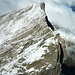 Rotsandnollen (2700m): Gipfelaussicht zum Hanghorn (2679m). 
